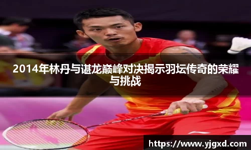 xc体育2014年林丹与谌龙巅峰对决揭示羽坛传奇的荣耀与挑战